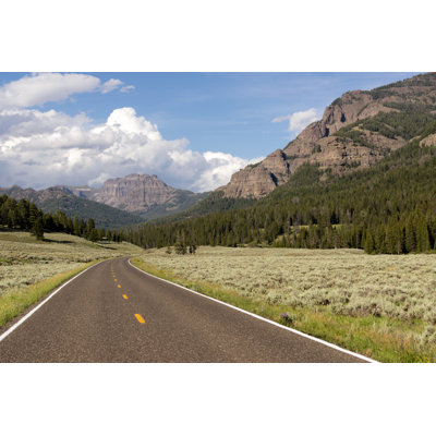 " Yellowstone National Park " by Chrisboswell