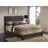 Upholstered Low Profile Standard Bed-89169813-89169824