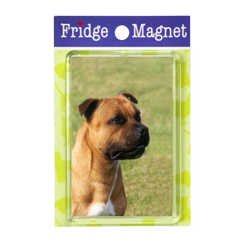 Fridge Magnet