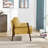 18.9'' H Velvet Upholstered Armchair-155679155