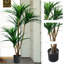 Pure Garden 51" Tropical Yucca Artificial Tree - Faux Plants Indoor and Outdoor Use with Natural Trunk and Planter