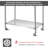 Beachemy 48'' Stainless Steel Workbench