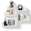 Floating Shelf