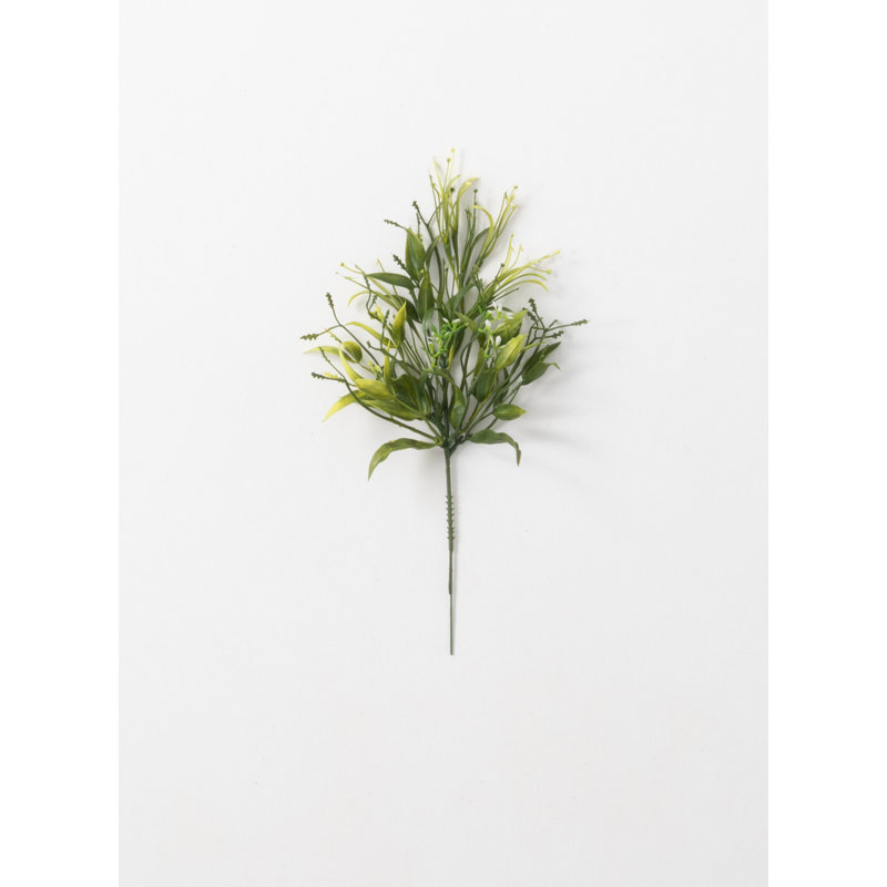 Spruce Arrangement