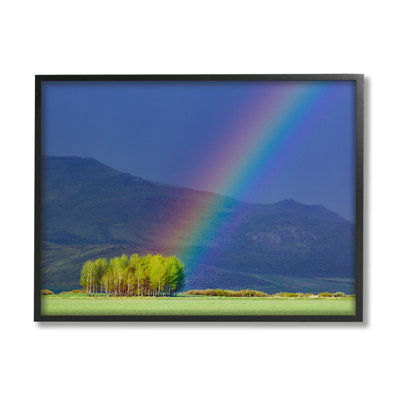 Uplifting Rainbow Rays Tree Grove Mountain Landscape by Steve Smith - Floater Frame Photograph on Wood -  Stupell Industries, ao-976_fr_11x14