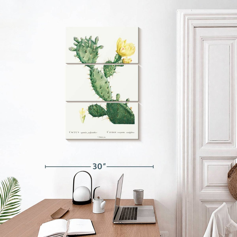 Harnek, aloès, Opuntia Polyanthos, image de l'histoire des plantes grasses, H 32 po x l 20 po