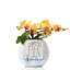 Pot Planter-393093552-332018649