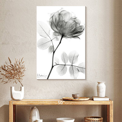 Harnek Rose Dynasty BW I