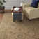 Abbeyville Oriental Area Rug
