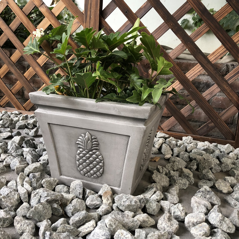 Boîte à fleurs en béton Caenas, H 9 po x l 10 po x P 10 po, Gris clair