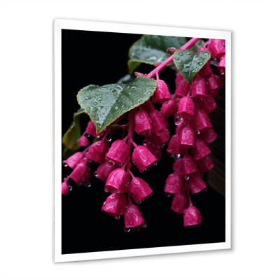 Colibri rose fuchsia I - art mural fuchsia