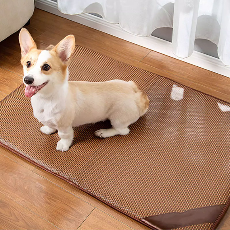 Tapis pour animaux, Petit (l 27,30 po x P 19,40 po x H 1 po)