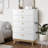 ARIES 5 Drawer Chest with Interlock Drawer Safety Feature