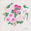 Bouquet de rosé - impression-226918249-215332361-215332371