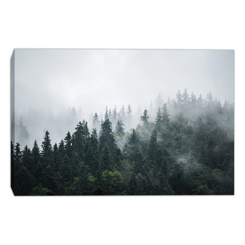 «Misty Pine Ridge Evergreen Forest», art mural sur toile tendue, H 16 po x l 24 po