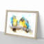 Two Blue and Yellow Macaw Parrots in Abstract - Picture Frame Painting Print-55777773-55777774