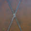 Minnick Steel Front Door