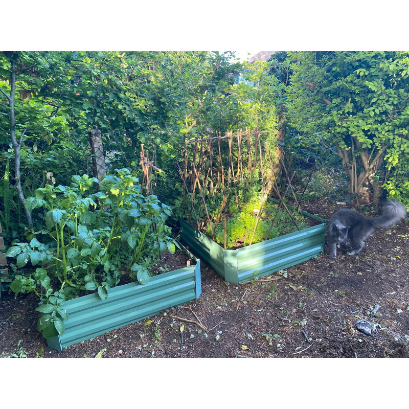 Daren Metal Raised Garden Bed