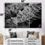 Ensemble d'art mural noir et blanc corail anémone Royaume I - Corail sous l'eau-107733595-107733593