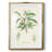 Bosco -Gallery Wrapped Canvas