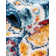 Oriental Indoor Rug