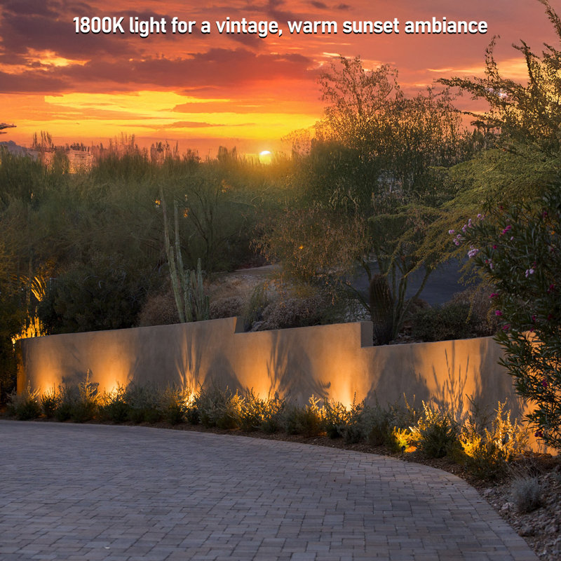 Integrated LED Metal Hardwired Spotlight, Color Temperature Selectable Landscape Lighting