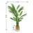 Artificial Palm Plant in Planter-1521529999