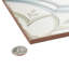 Kings Original 18" x 18" Ceramic Wall & Floor Tile