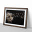 Dandelion Seeds in Flight in Abstract - Picture Frame Graphic Art Print-55679723-55679726