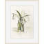 Plants & Flowers Print by Claudia Lowry-1940830802