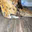 Customer photo 3 of 3