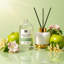 Recharge de diffuseur DANIELLA'S CANDLES