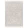 Oriental Indoor Rug