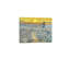Fine Sower Unframed Canvas Wall Art  24" X 18"