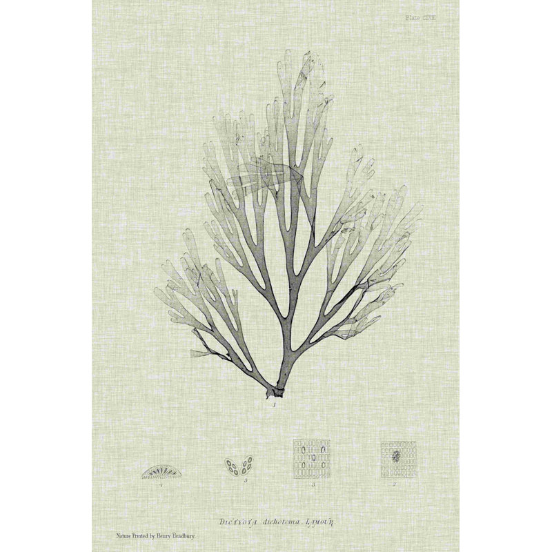 Gris anthracite et lin algue III, H 18 po x l 12 po