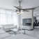 Eustolio 52'' DIY Shade Reversible Caged Ceiling Fan with Dimmable LED Light and Remote