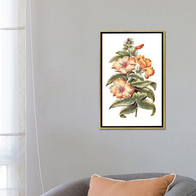 «Flowering Hibiscus I» par un artiste inconnu - reproduction