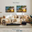 Gillard Anse Champagne Gillard coucher de soleil-107698915