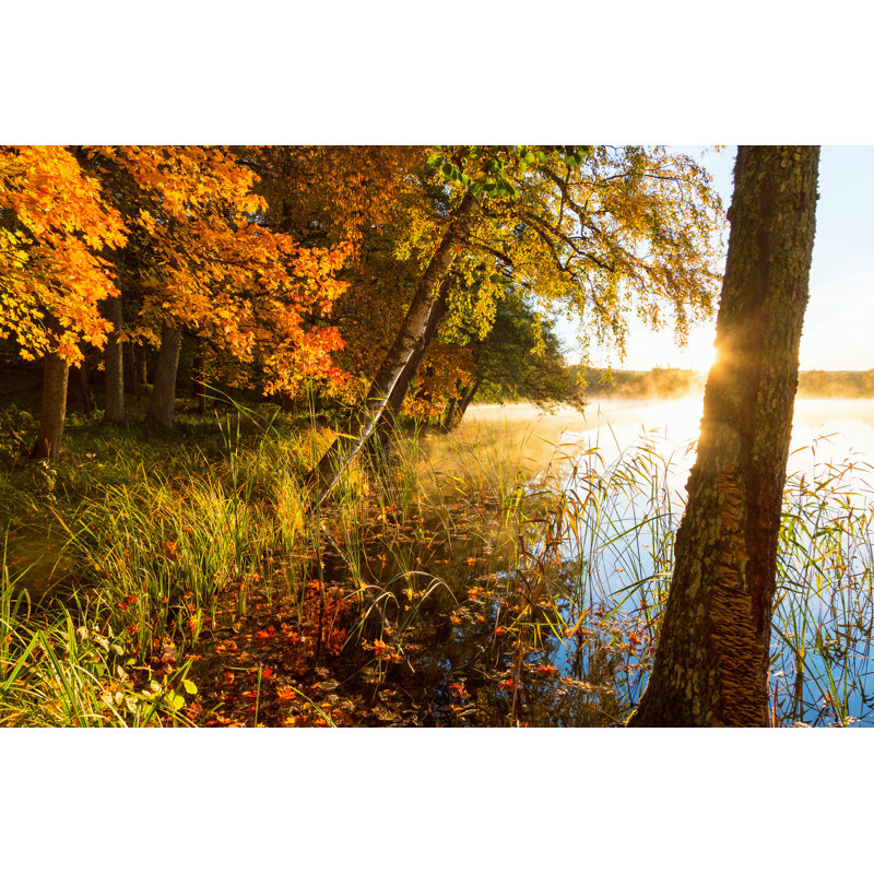 Misty Sunrise - Wrapped Canvas Print, 81cm H x 122cm W x 3.8cm D