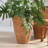Vidor Handmade Pot Planter