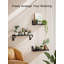 Floating Shelf-418866977