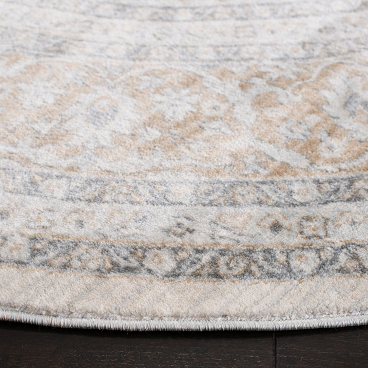 Delmer Performance Oriental Rug