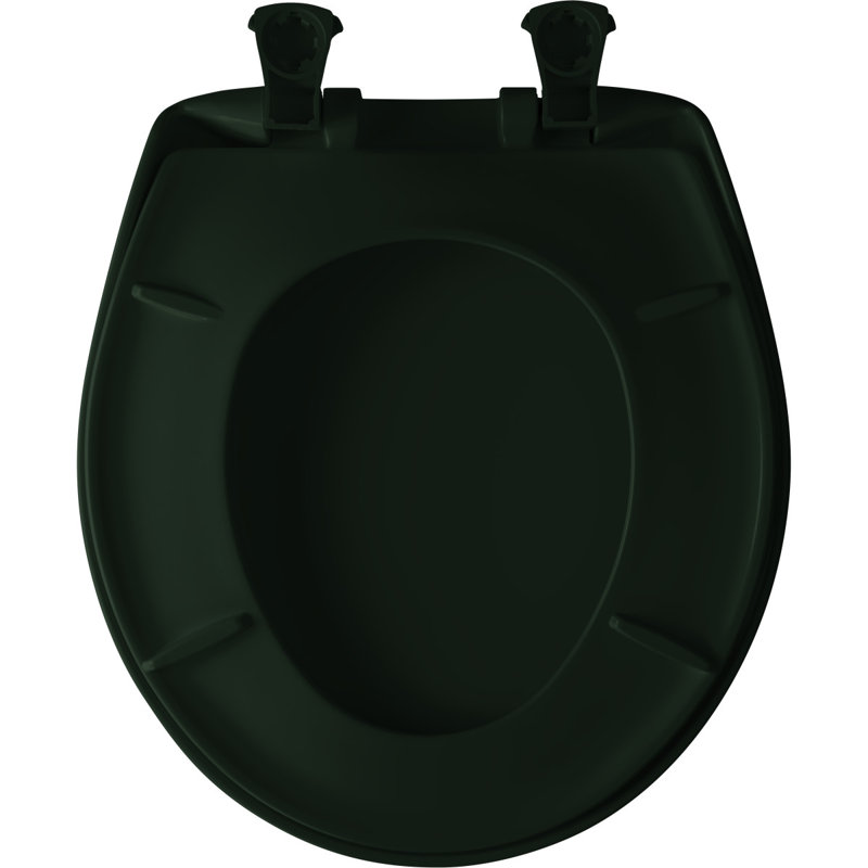 Round Toilet Seat and Lid, Rain Forest