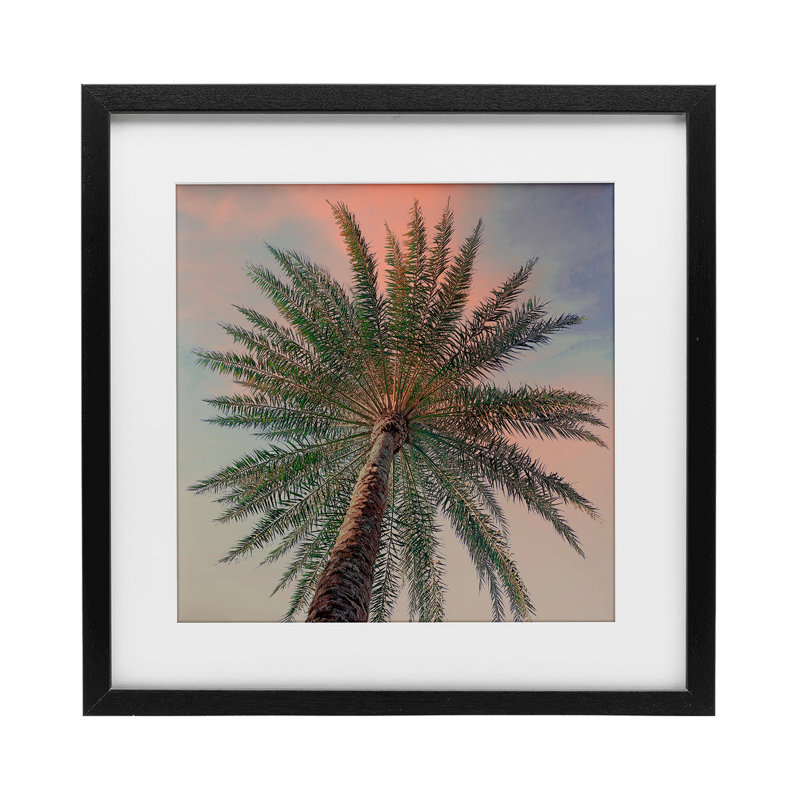 «Palm Up Against Sunset», reproduction sous verre encadrée, conception de Susan Jill, H 13 po x l 13 po, Cadre noir minuit