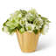Gilded Clover Vase-59115045