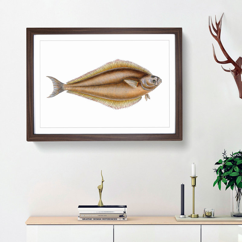Atlantic Halibut Fish by Edward Donovan - Single Picture Frame Painting, 45cm H x 63cm W x 2cm D, Walnut Framed