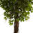 82.5" Artificial Ficus Tree in Pot
