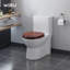 Toilet Seat, Soft Close WC Seat with Strong Hinge Ideal for Standard Toilet-1182055509