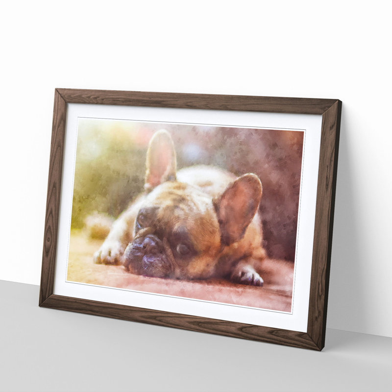 Fawn French Bulldog Dog - Framed Print, 24cm H x 33cm W x 2cm D, Walnut Framed