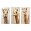Minimalisme beige chameau-549239101-549239098